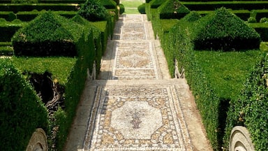 The gorgeous gardens of the I Tatti.