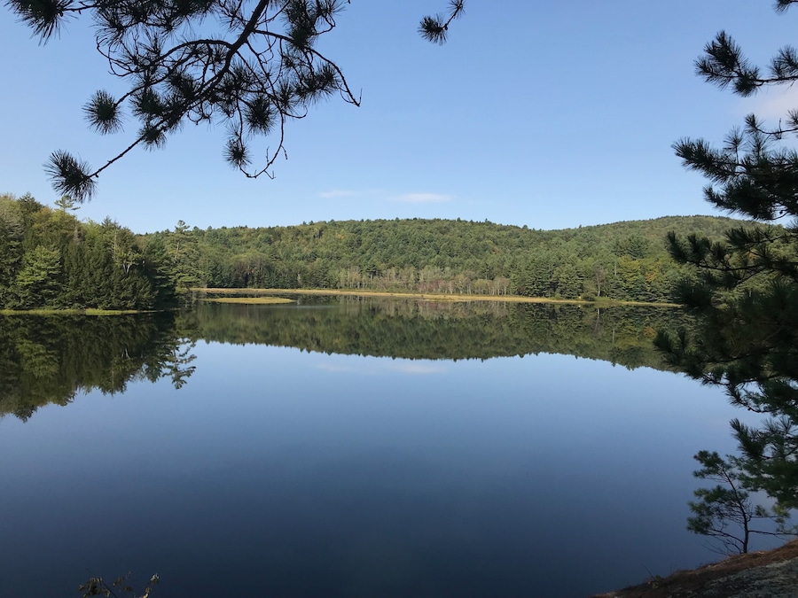 A wonderful short hike to a very secluded pond in Grantham, NH in late summer.
#TakeAHike