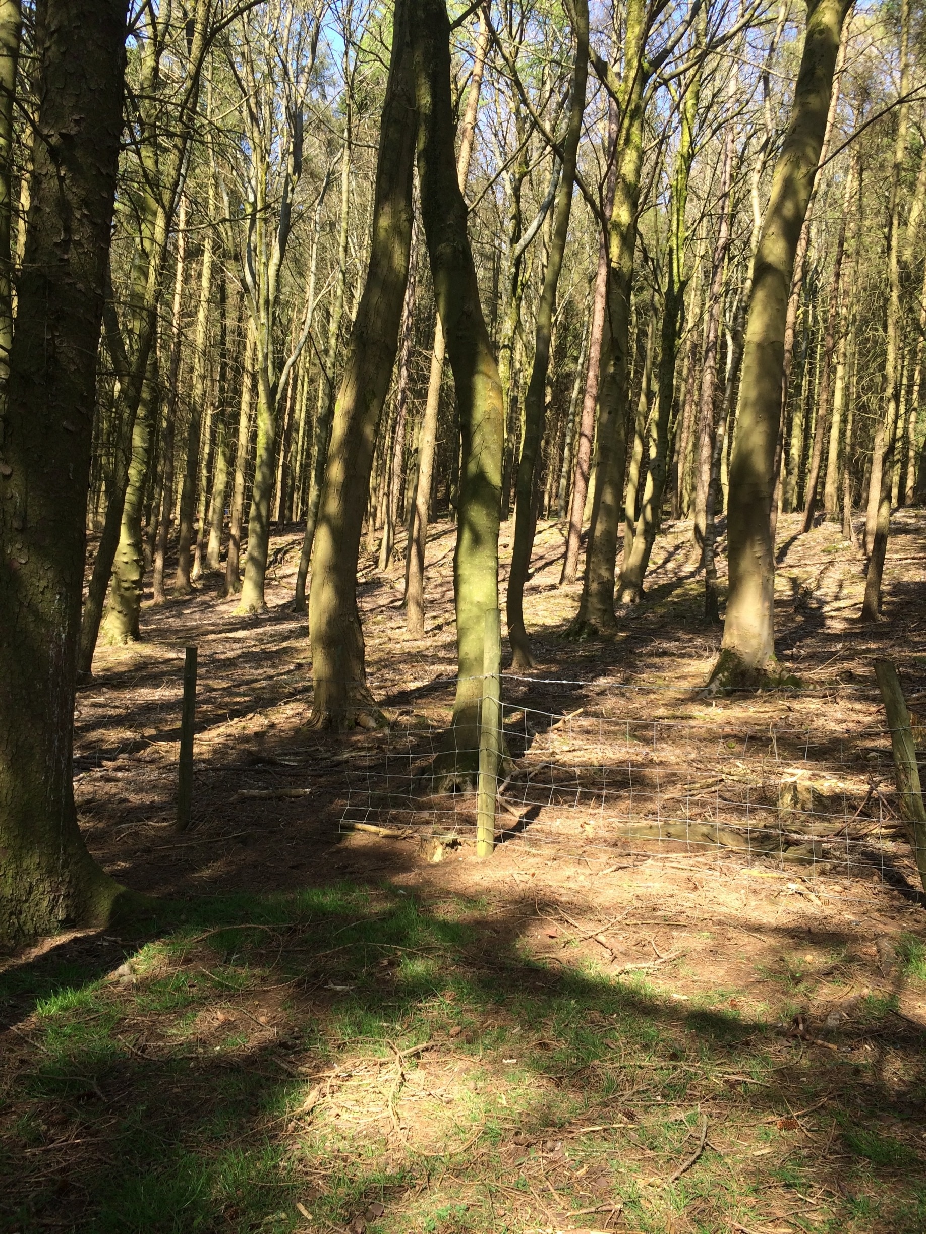 Foto tomada por Sarah Griff