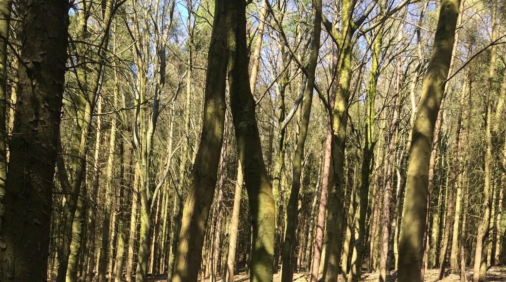 Foto tomada por Sarah Griff