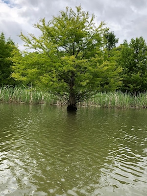 Bird sanctuary. Very relaxing