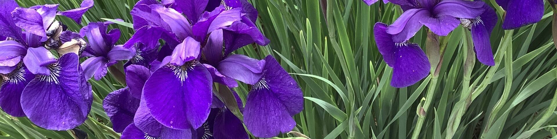 Willow Street, Pennsylvania, United States of America