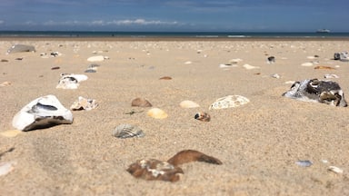 Beautiful beach where you can search for stones and shells. And have a look to Dover! #france#beach#nature#sangatte#lovely#shells