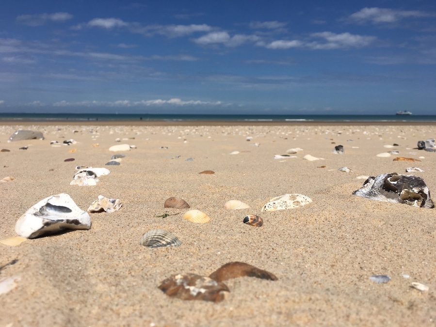 Beautiful beach where you can search for stones and shells. And have a look to Dover! #france#beach#nature#sangatte#lovely#shells