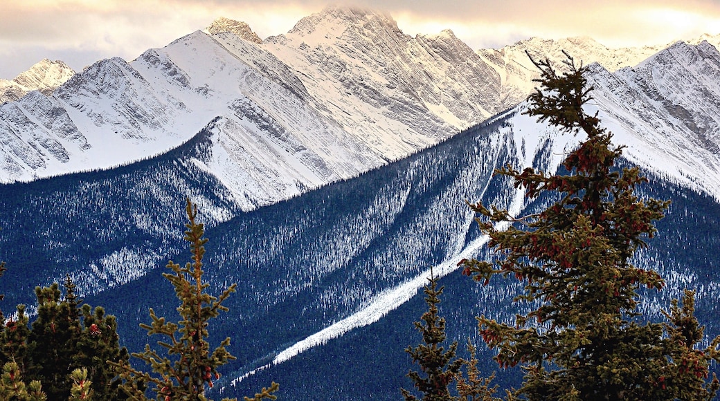 Sulphur Mountain, Banff, Alberta, Canada