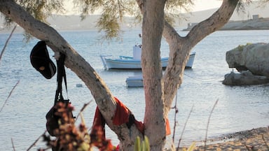 A beach, seven in the evening of a day in late August with the warmth of the red sun at sunset which warms every molecule, every breath, every thought. The tamarisk-candid-lilies, bees. The blue sea of white foam on the shore. The blond children of the sun. Pistachios, ouzaki, bare feet. The warm inside. The feeling that your skin is only a gap-getting thinner, almost to vanishing-between you and the light. And the shocking beauty of intuition that you have a place in that light.