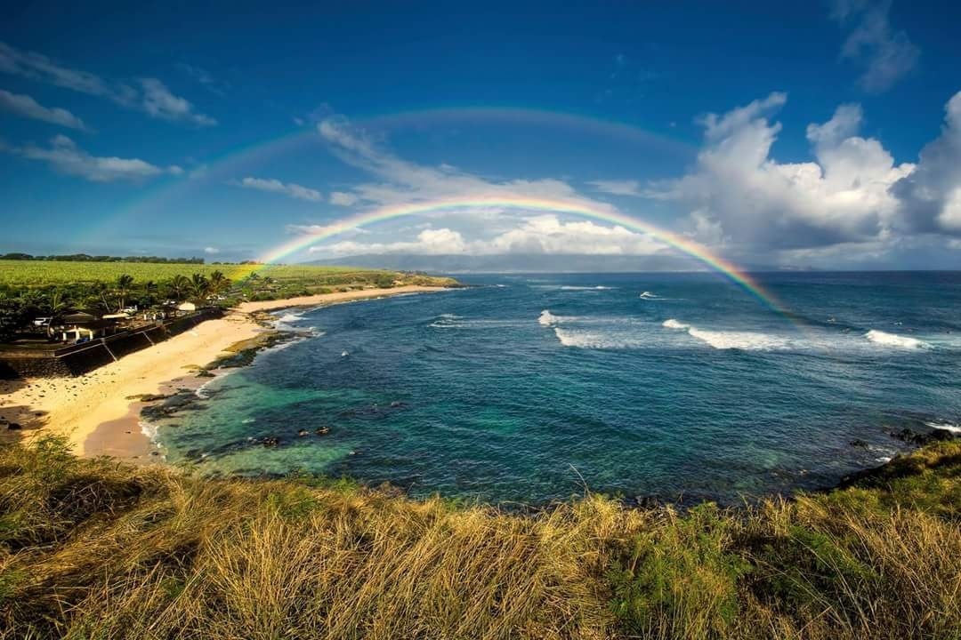 Hookipa Beach Park in Paia - Tours and Activities | Expedia.ca