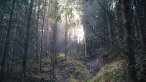 Valokuva: Grahame Rickard