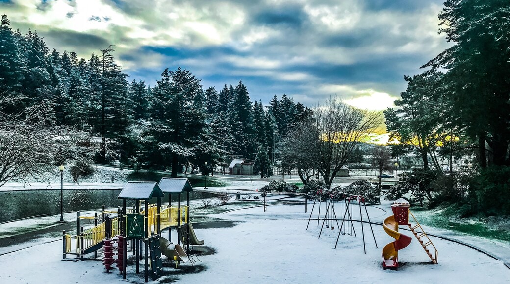 Foto oleh Alice In Wonderland