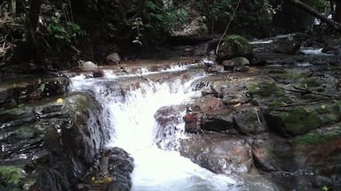 Beautiful waterfalls.  A refreshing stop after a 4 hour hike in the forest.  #lifeatexpedia