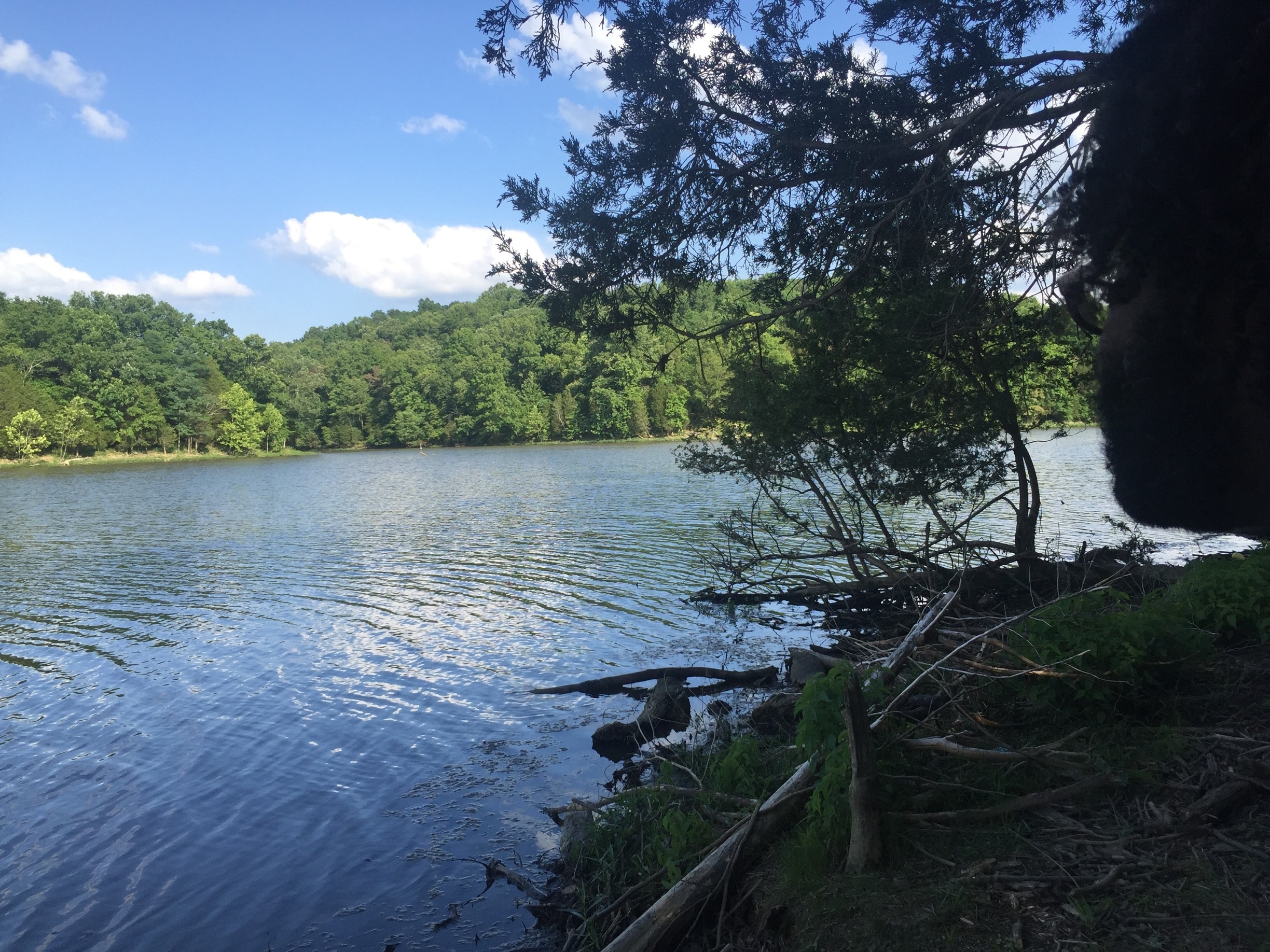 We revisited my childhood #campground. The #lake was even more beautiful than I remembered. #fishing #camping #outdoors #hiking #outdoors