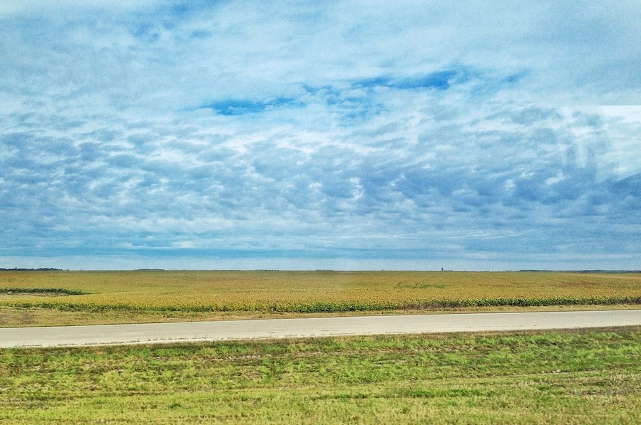 Just outside Winnipeg the ground is pretty much flat. People were not kidding when they said how flat it was. Especially in contrast to Ontario which has cliffs, valleys, trees and gorgeous lakes.
The roads are so flat they can be runways for airports.
I'm almost at Brandon MB and other than the city of Winnipeg which was quite large, the rest is like this.