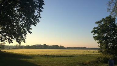 Early morning in Saaremaa island, Latvija