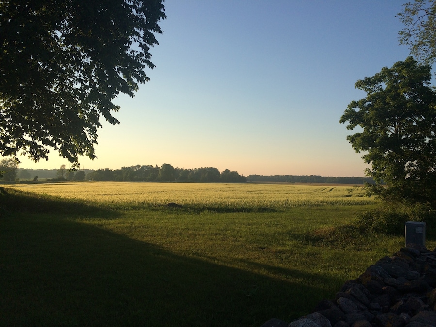 Early morning in Saaremaa island, Latvija