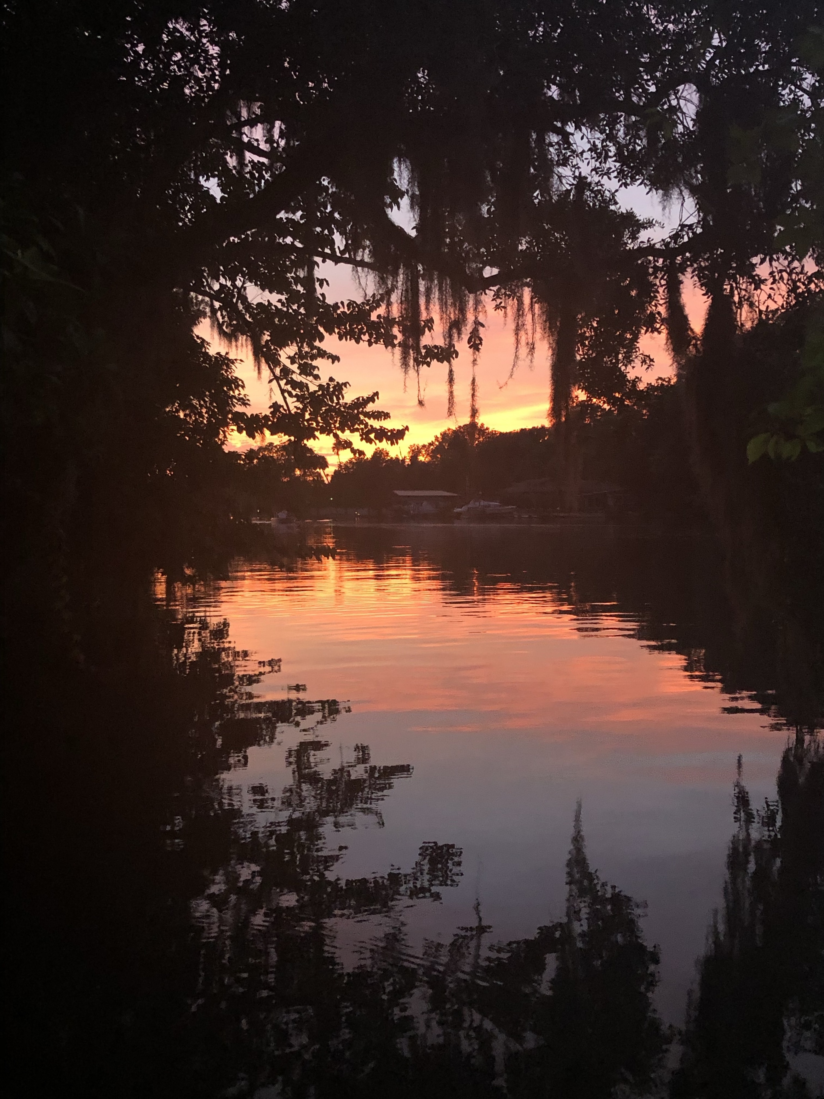 Visit Homosassa: 2021 Travel Guide for Homosassa, Crystal River | Expedia