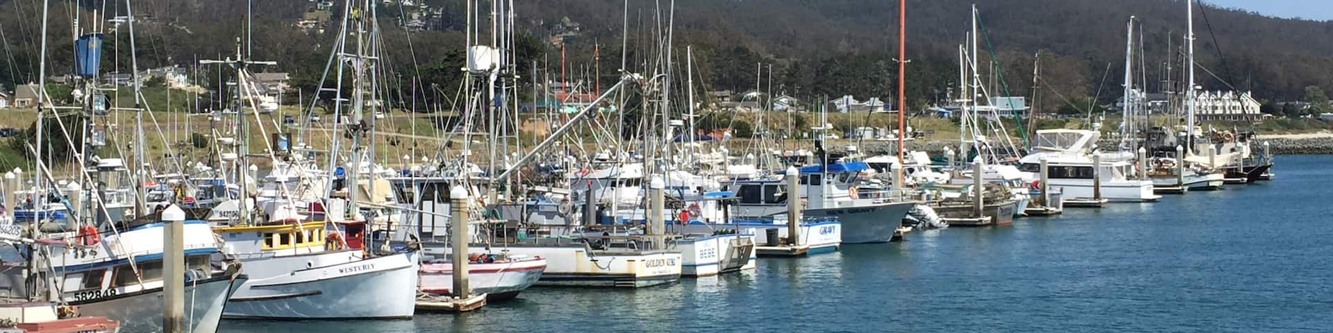 Nice little pier to walk on.  Lots of seafood spots and just a little south of here on hwy 1 there were tons of surfers.