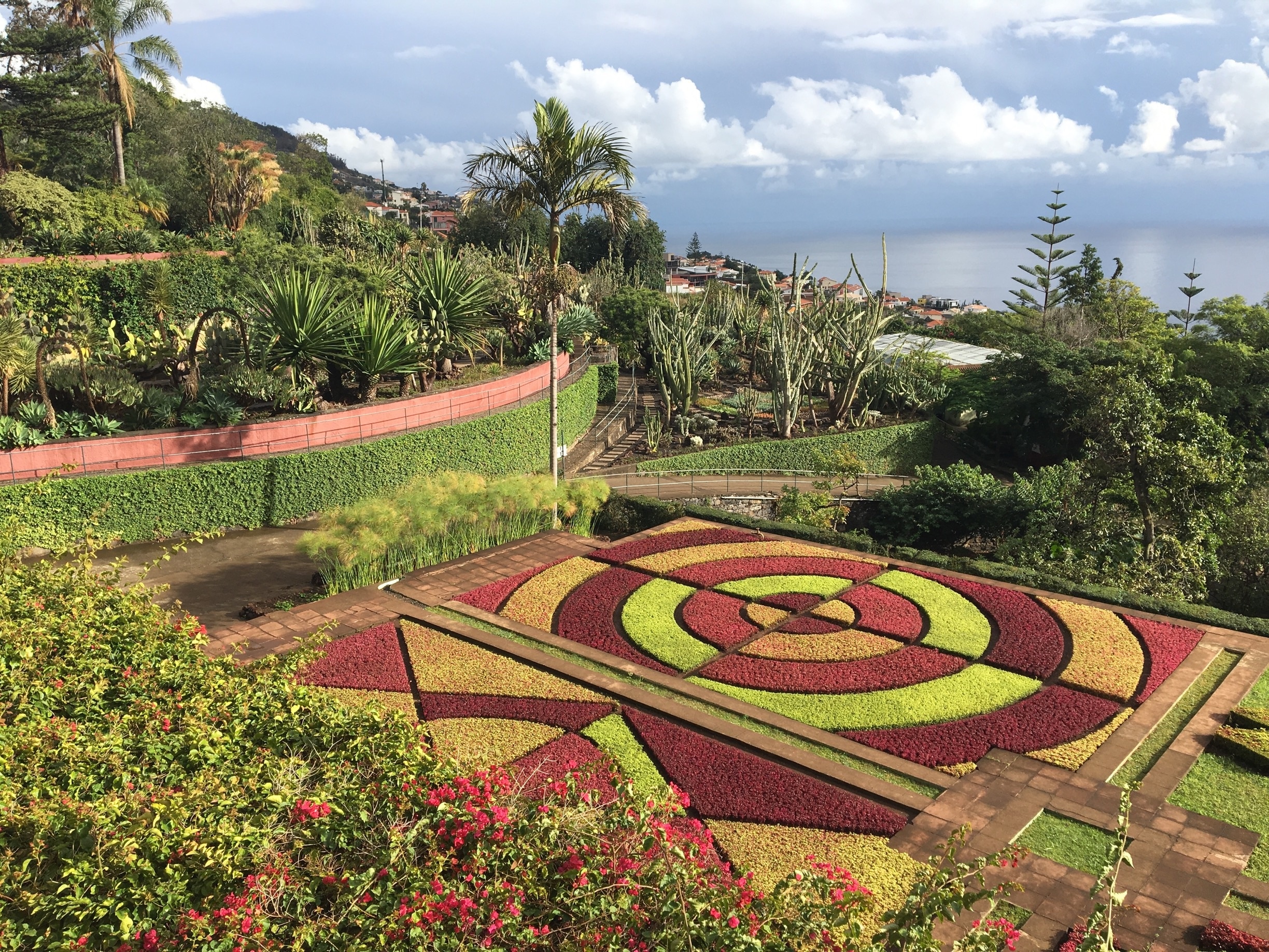 26+ elegant Bilder Botanischer Garten Madeira - Der Botanische Garten