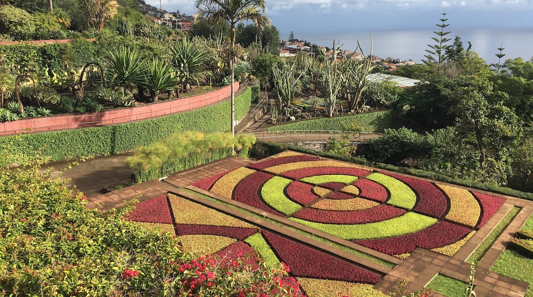 Madeiran kasvitieteellinen puutarha, Funchal, Madeiran alue, Portugali