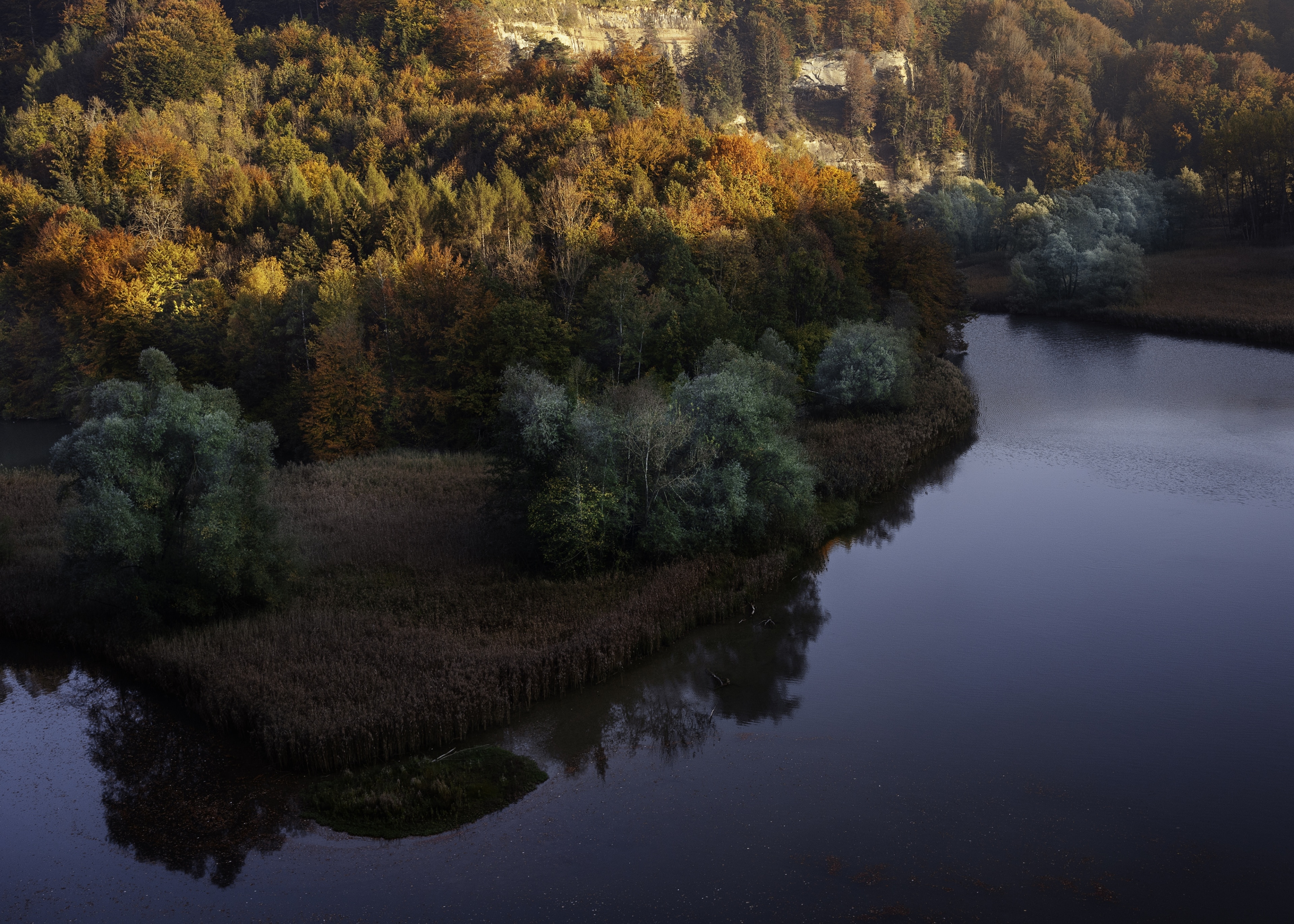 Visit Charmey: 2024 Travel Guide for Charmey, Canton of Fribourg