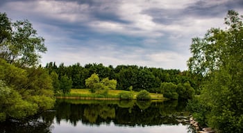 Same pond as the earlier post.
