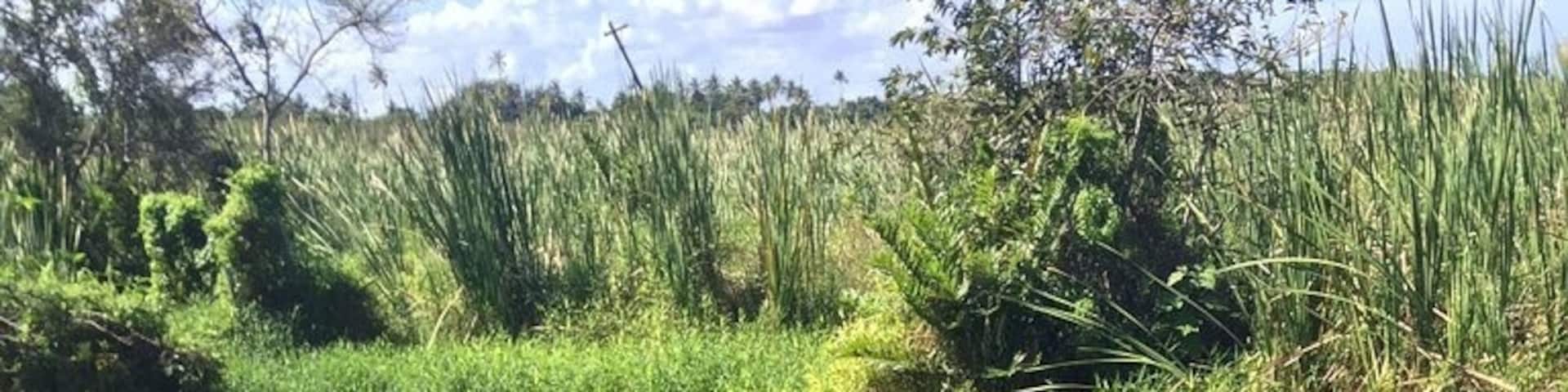 A natural lagoon,  just beautiful!