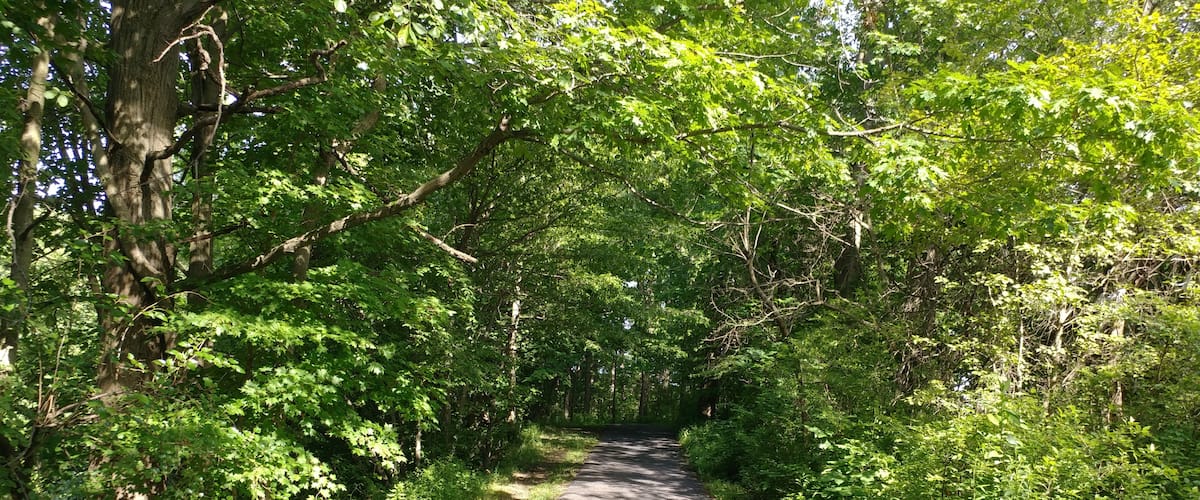 Blue River Trail