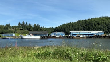 The Willapa River is a river on the Pacific coast of southwestern Washington, approximately 20 miles long. It drains an area of low hills and a coastal plain into Willapa Bay, a large estuary north of the mouth of the Columbia River. (June 2019)

#Trovember