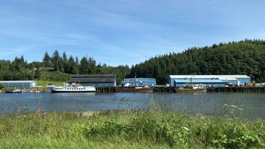 The Willapa River is a river on the Pacific coast of southwestern Washington, approximately 20 miles long. It drains an area of low hills and a coastal plain into Willapa Bay, a large estuary north of the mouth of the Columbia River. (June 2019)

#Trovember