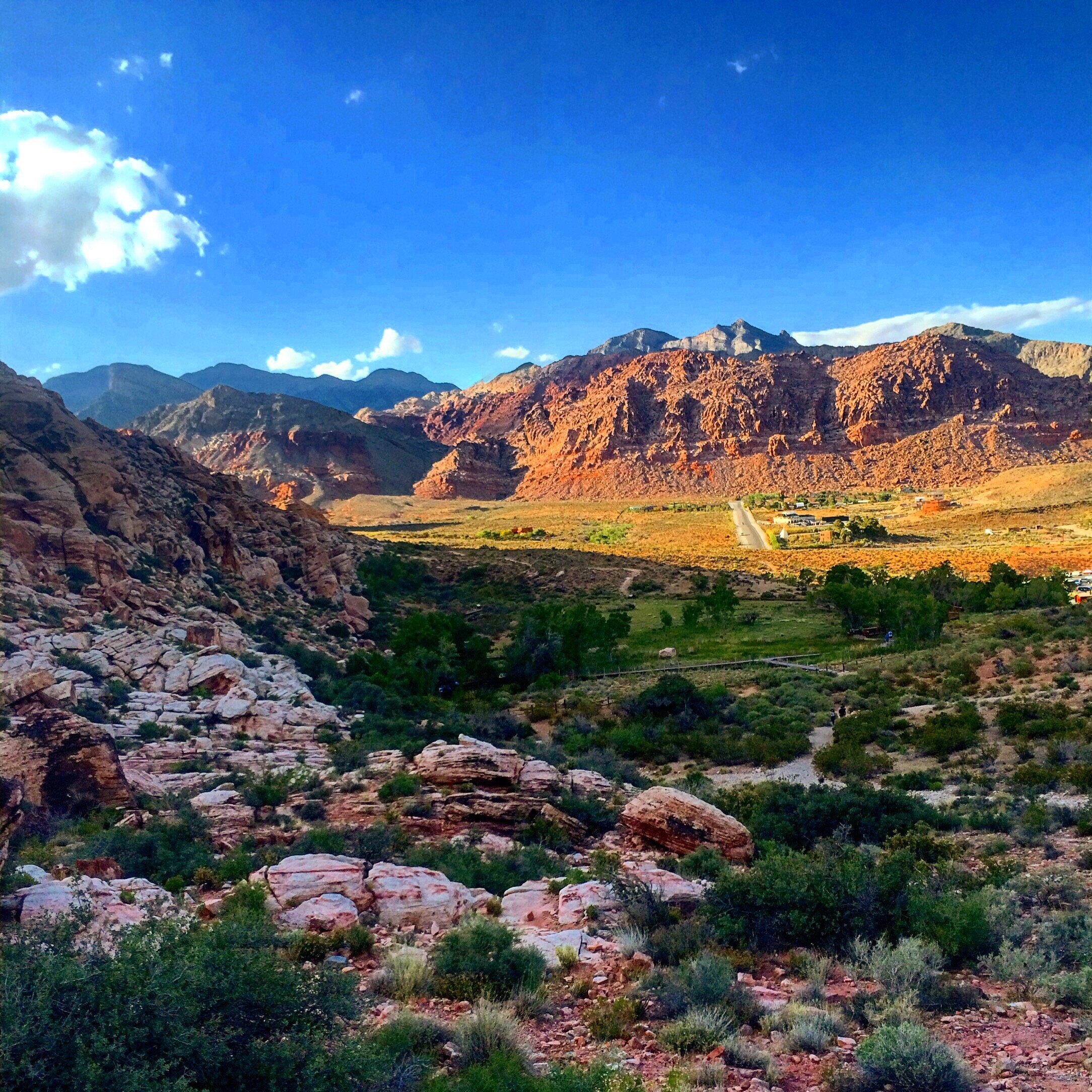 10 TOP Things To Do In Mount Charleston NV 2021 Attraction Activity