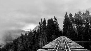 #localgem

The Vance creek bridge is a beautiful bridge that is not off limits to visit. It sits over 300ft in the air with no railing on the side to save you from falling. Awesome location for thrill seekers.