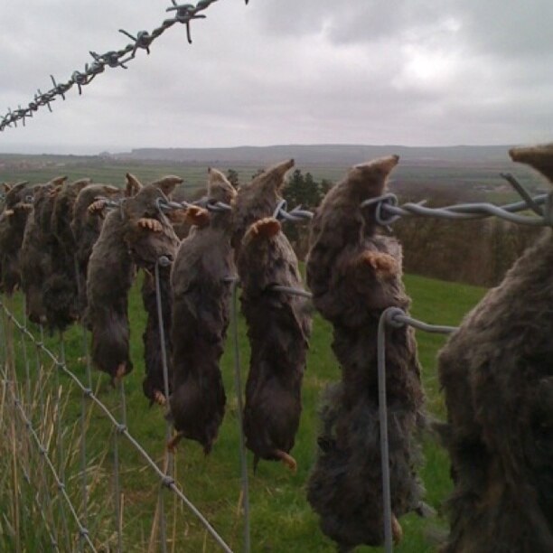 Foto tomada por Stuart Allan