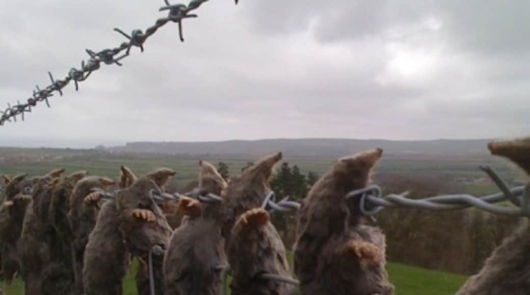 Valokuva: Stuart Allan