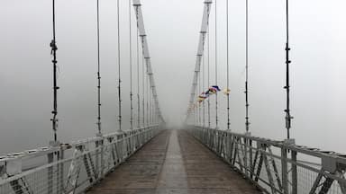 The Singshore bridge of Sikkim was nothing less than a road straight to heaven..