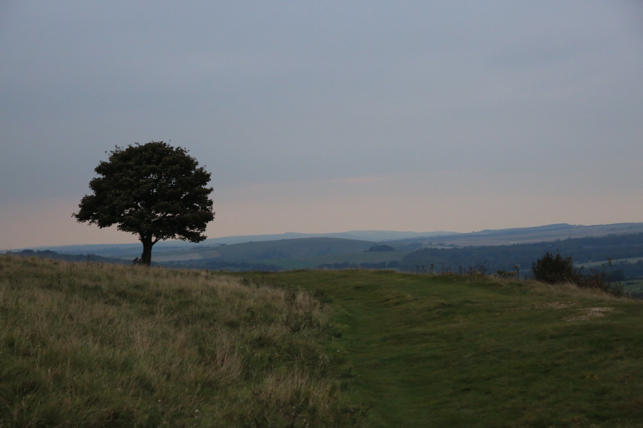 The beautiful Cissbury Ring near Findon, West Sussex in the early evening.