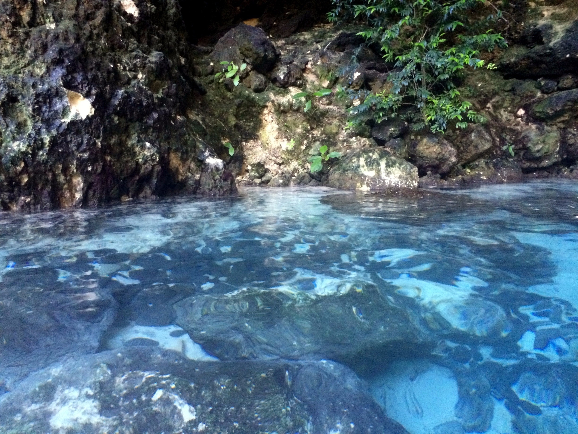 Took an eco tour in Punta Cana to Hoyo Azul for a swim in the natural lagoon. Beautiful and fun experience!
More info: http://www.badsentences.com/hoyo-azul-dominican-republic/