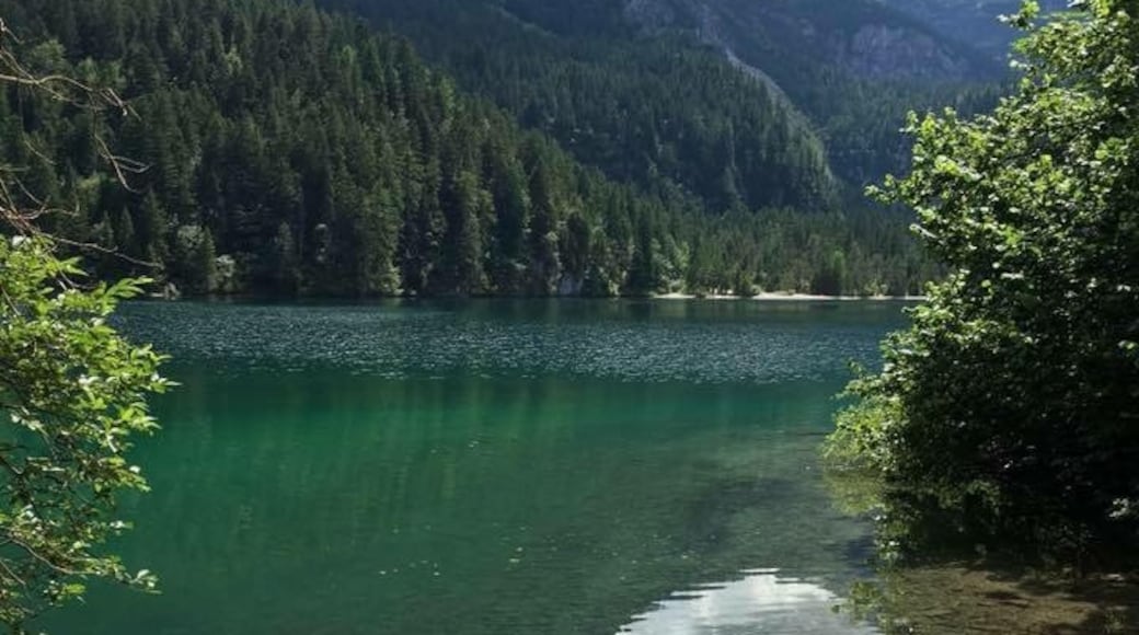 Stöðuvatnið Lago di Tovel, Ville d'Anaunia, Trentino-Alto Adige, Ítalía