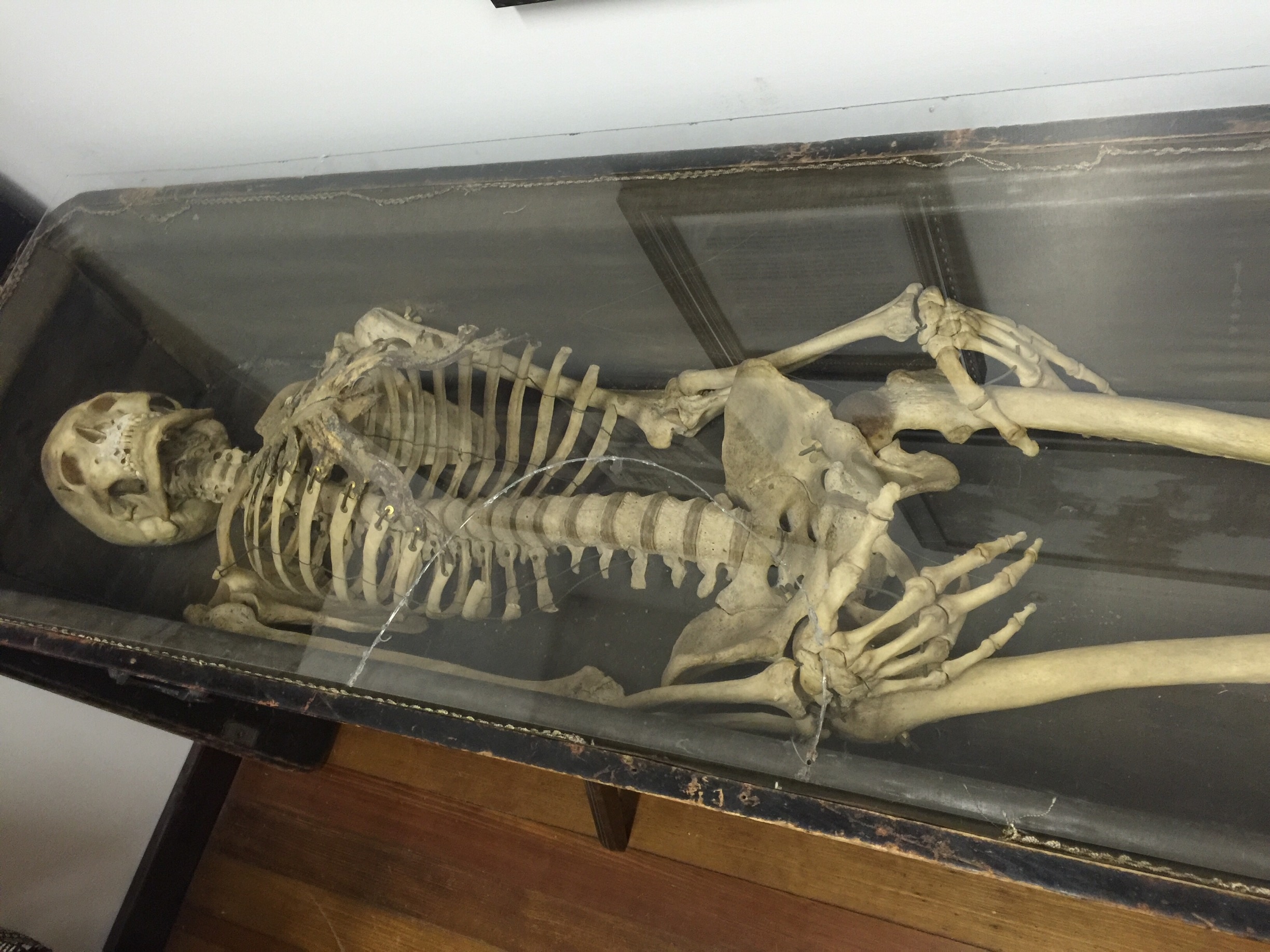 This is George, he was a member of the Odd Fellow fraternal society in the late 1800's and donated his skeleton to be used for rituals which is now on display at the winery. I've heard he prefers Merlot.