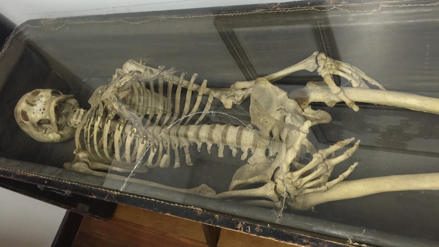 This is George, he was a member of the Odd Fellow fraternal society in the late 1800's and donated his skeleton to be used for rituals which is now on display at the winery. I've heard he prefers Merlot.