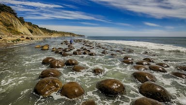 Best at low tide, these meter diameter boulders are a sight to see. Dozens of them out there in the tide that get covered at high tide. The kids loved this beach and all the things to touch and climb on. Best part: free. An hour south of Mendocino, CA. #KidsFun