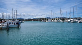 On the way to the airport or nearby suburbs, stop for a wander down the beach here. Or, park here and walk right around to Oriental Bay and the Wellington waterfront - it's so beautiful all the way along! You can see the 'Wowington' sign in the distance too :)