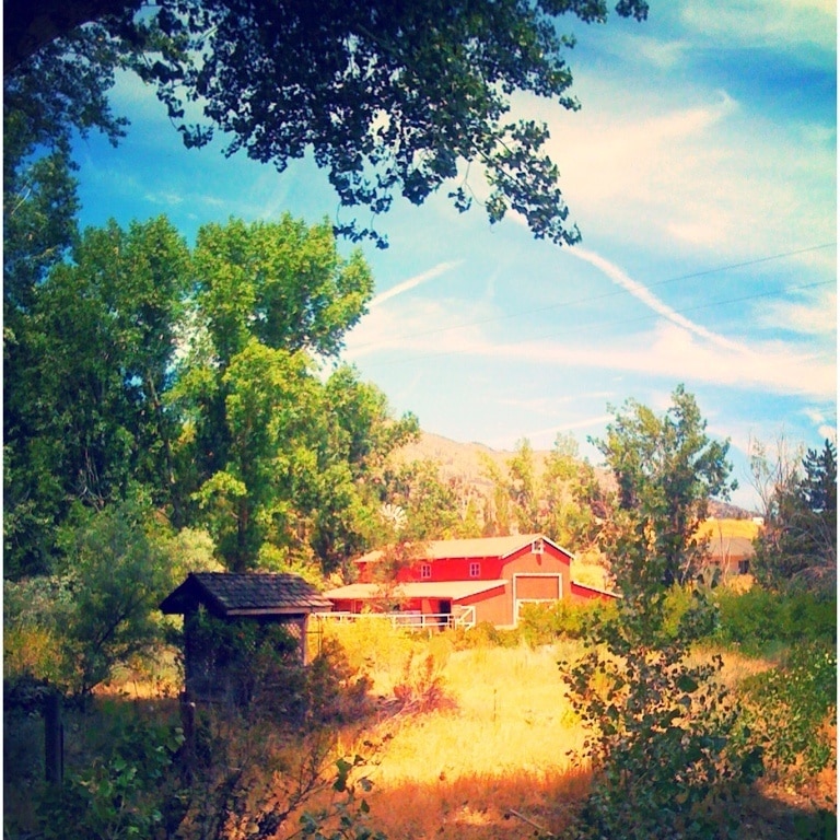 Photo by Perla Davis