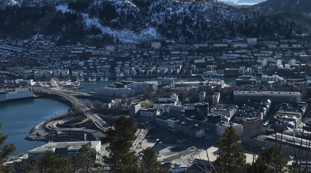 Fløyen, Bergen, Vestland, Norge