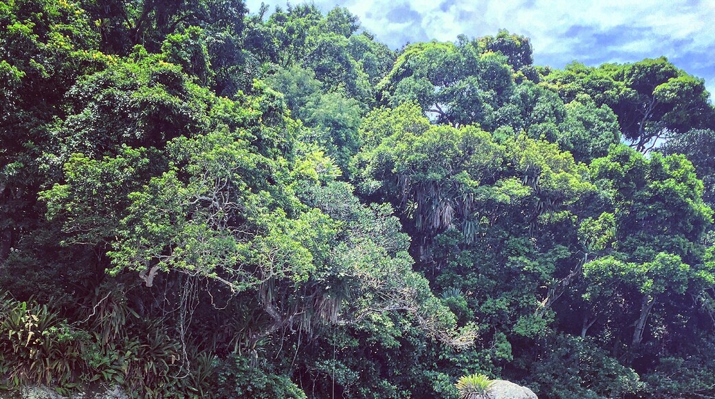 Photo by Luciano Miguel