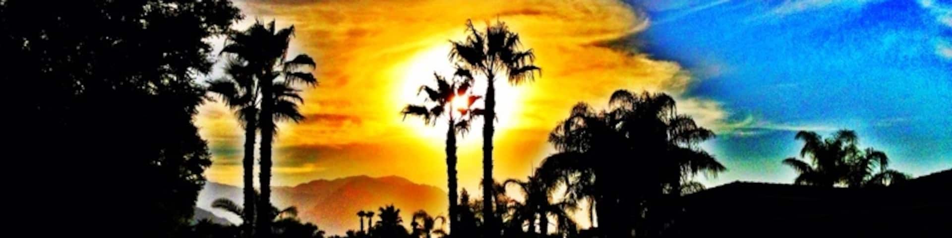 Desert sunset on my street.