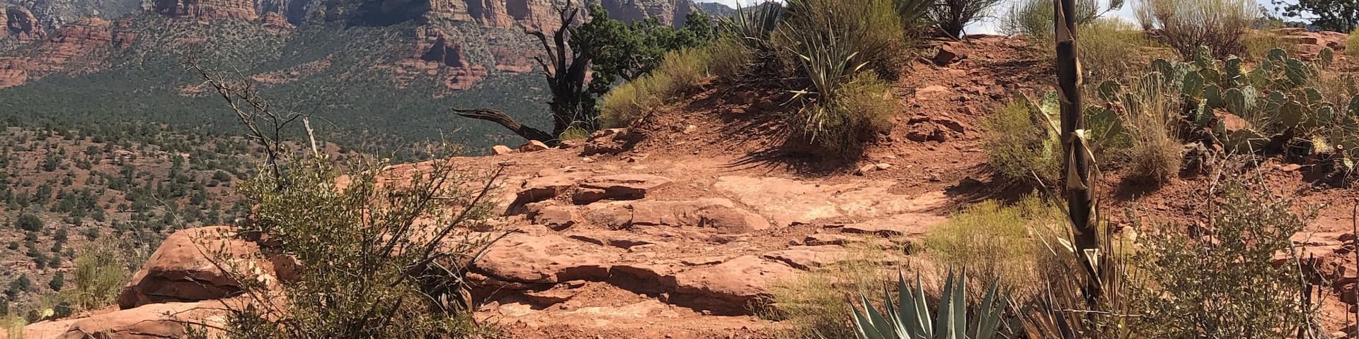 The plants on top of this rock make it look like your on a different planet, no filters #adventure