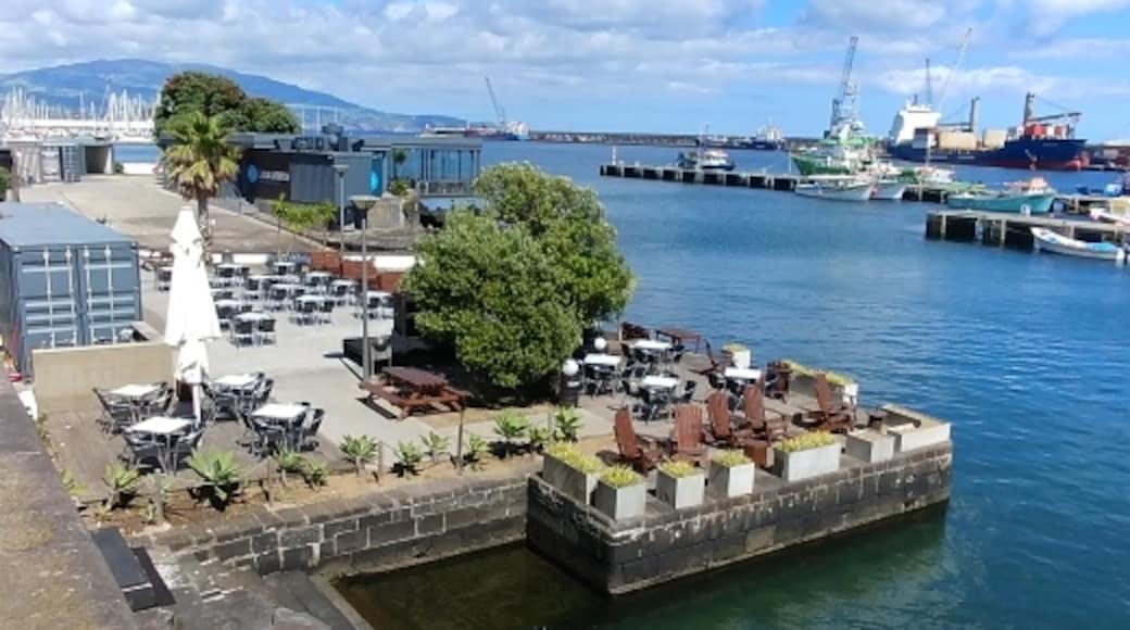 Marina de Ponta Delgada, Ponta Delgada, Açores, Portugal