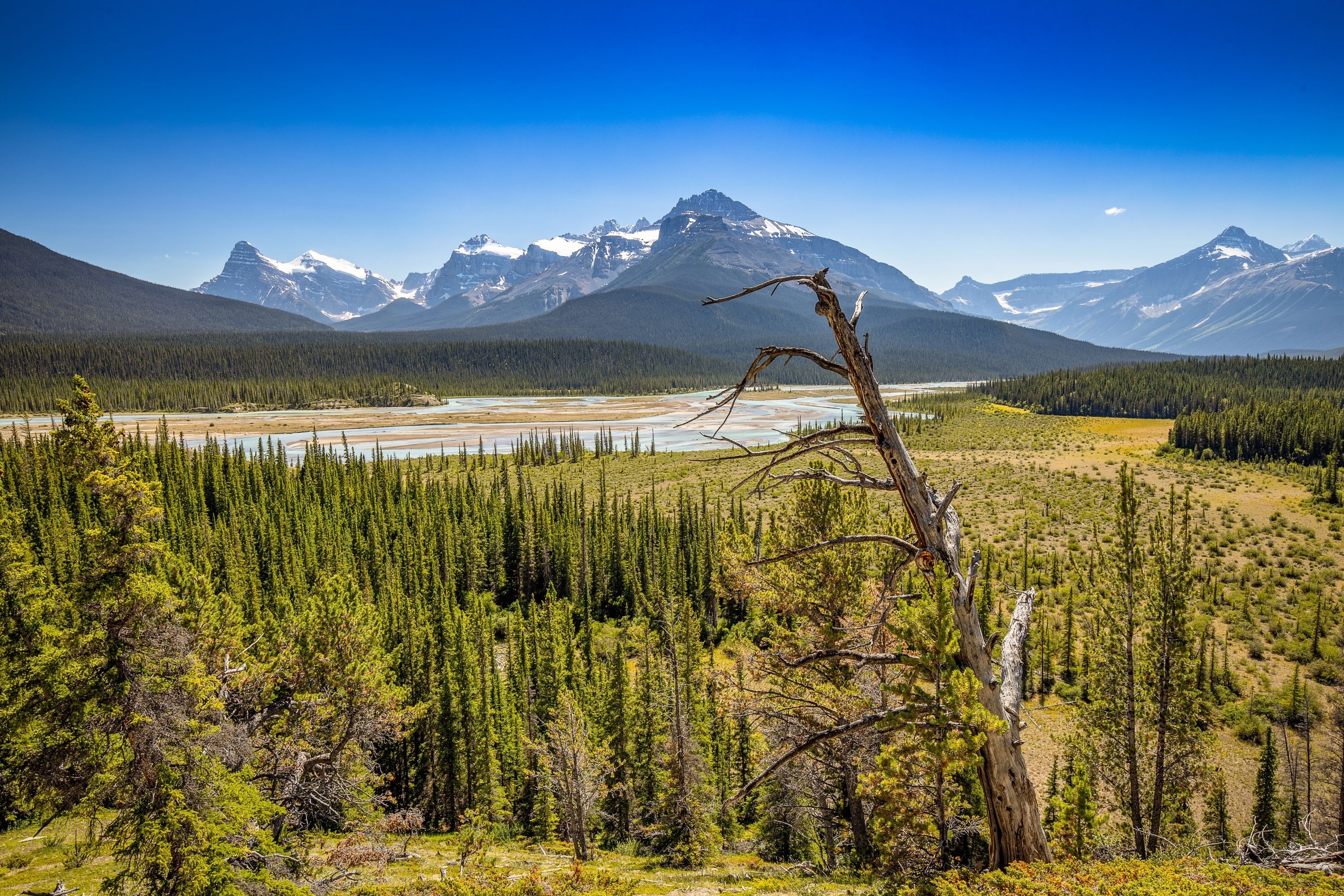 Visit Saskatchewan River Crossing Best of Saskatchewan River Crossing