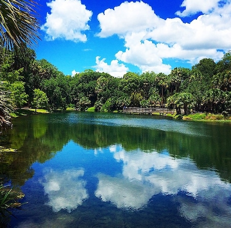 View from the fishing pier. Watch out for the alligators! #blue