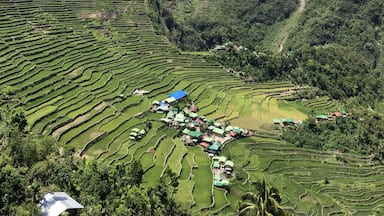 Batad is a village of fewer than 1500 people, situated among the Ifugao rice terraces. It is perhaps the best place to view this UNESCO World Heritage site.