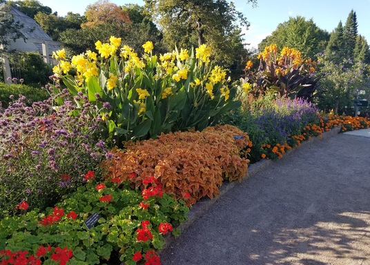 チャスカ ミネソタ ランドスケープ 樹木園 周辺のホテル 宿泊予約 格安ホテル予約 最安値検索 ホテルズドットコム チャスカ ミネソタ ランドスケープ 樹木園 周辺のホテル 宿泊予約 格安ホテル予約 最安値検索 ホテルズドットコム